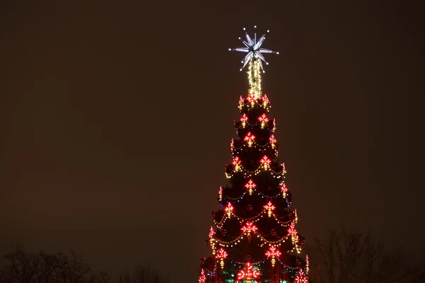 Christmas tree outdoors at night — Stock Photo, Image