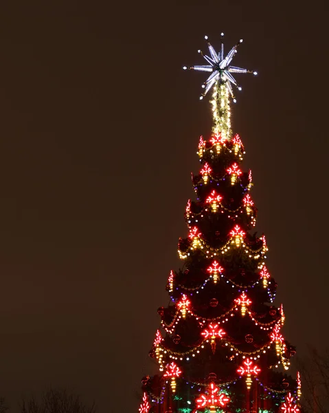 Christmas tree outdoors at night — Stock Photo, Image