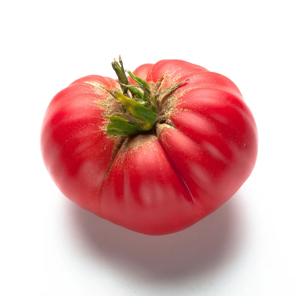 Ντομάτα σε λευκό — Φωτογραφία Αρχείου
