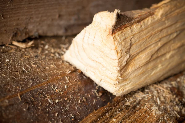 Baumstamm aus Holz, Nahaufnahme — Stockfoto