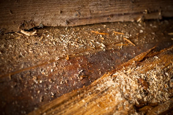 सॉडस्ट के साथ लकड़ी का भूरा पृष्ठभूमि — स्टॉक फ़ोटो, इमेज