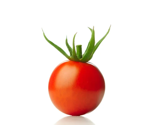 Tomaten isoliert — Stockfoto