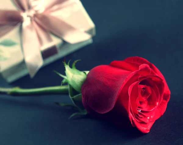 Vörös rózsa és egy ajándék — Stock Fotó