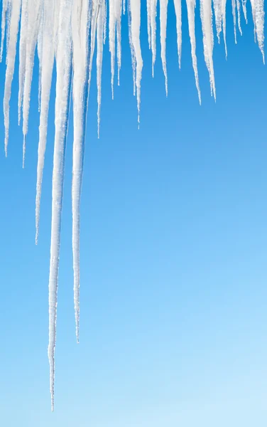 Stock image Icicles on blue