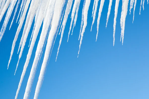 stock image Icicles on blue