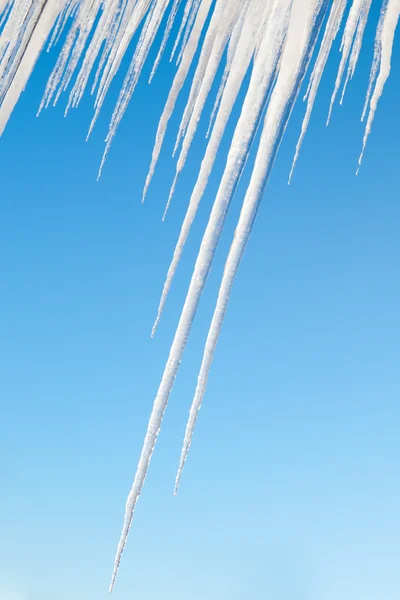 stock image Icicles on blue