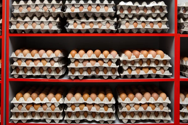Chicken eggs in the packs — Stock Photo, Image