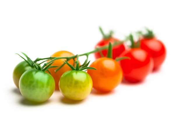 Tomates cereja maduros e não maduros isolados em branco — Fotografia de Stock
