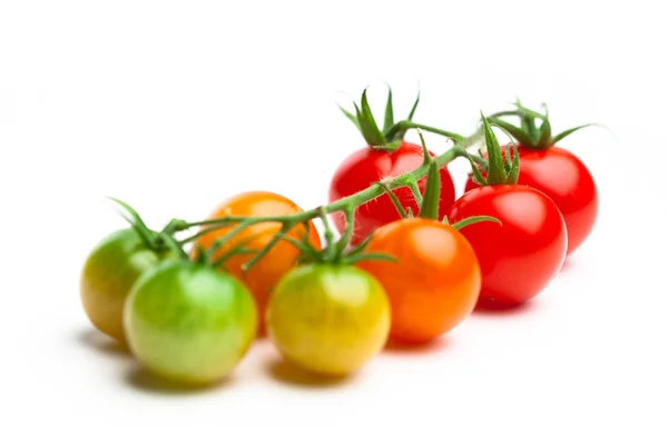 Tomates cherry maduros e inmaduros aislados en blanco —  Fotos de Stock