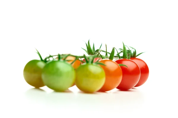Rijpe en onrijpe cherry tomaten geïsoleerd op wit — Stockfoto