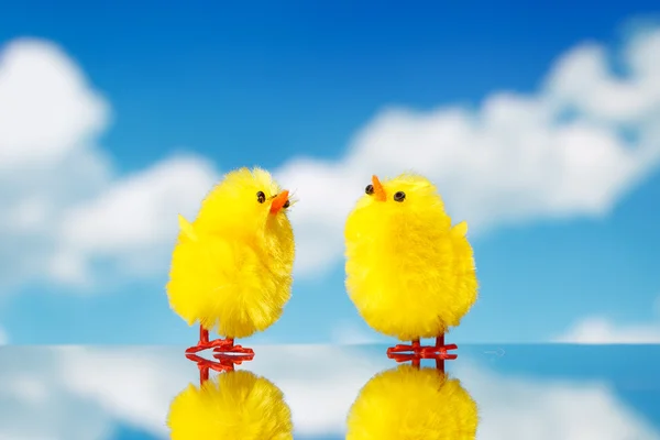 Easter chicks against sky background — Stock Photo, Image