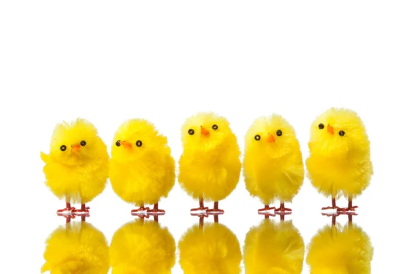 Easter chicks isolated on white — Stock Photo, Image