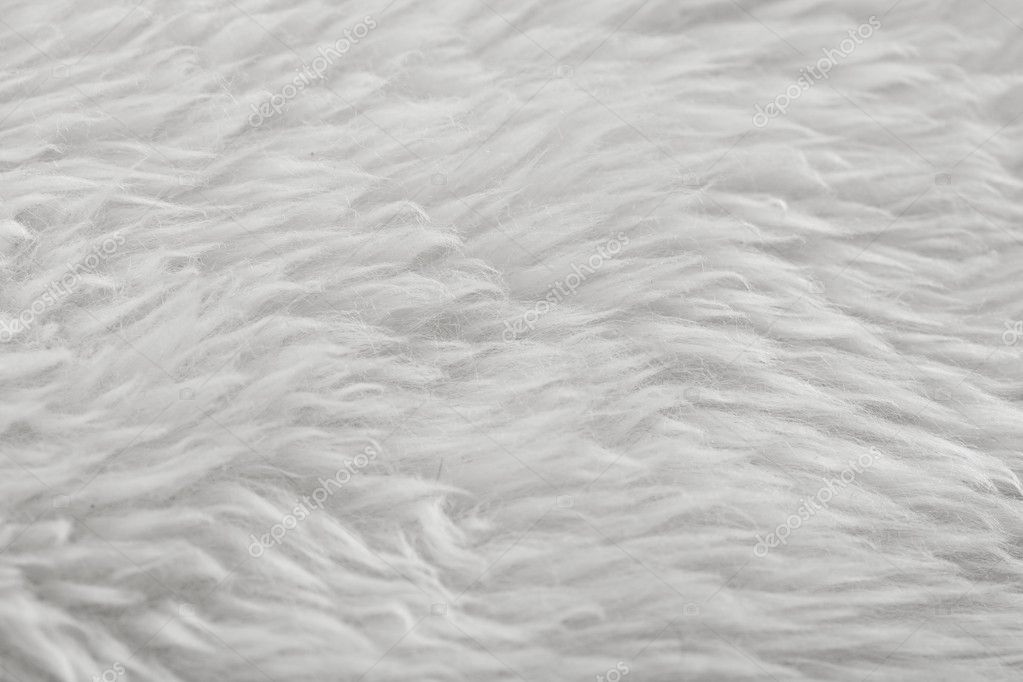 Premium Photo  White fur texture, close-up.useful as background