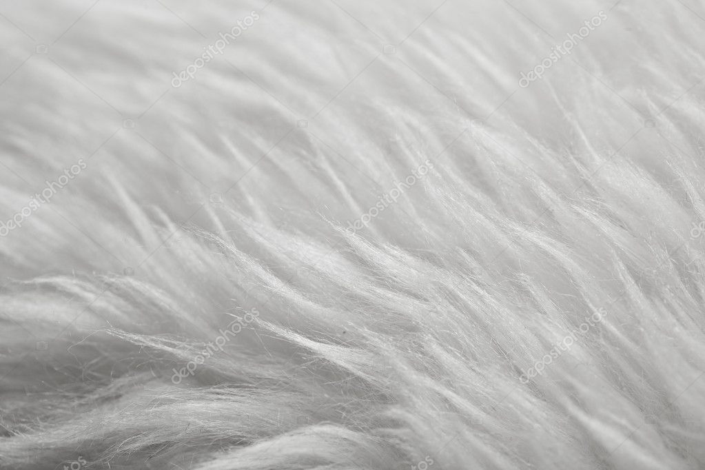 White fur texture background Stock Photo by ©nikkytok 10234526