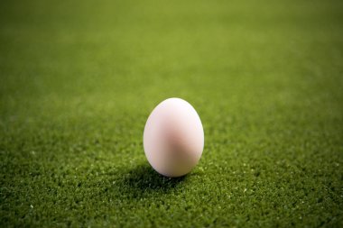 Chicken egg on the lawn clipart