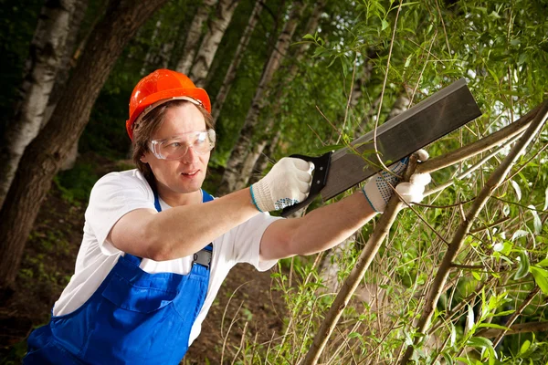 Jardineiro que corta um ramo — Fotografia de Stock