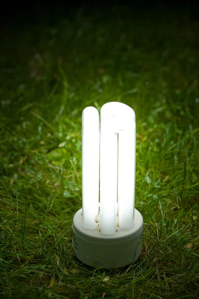 Úsporná lampa na trávě — Stock fotografie