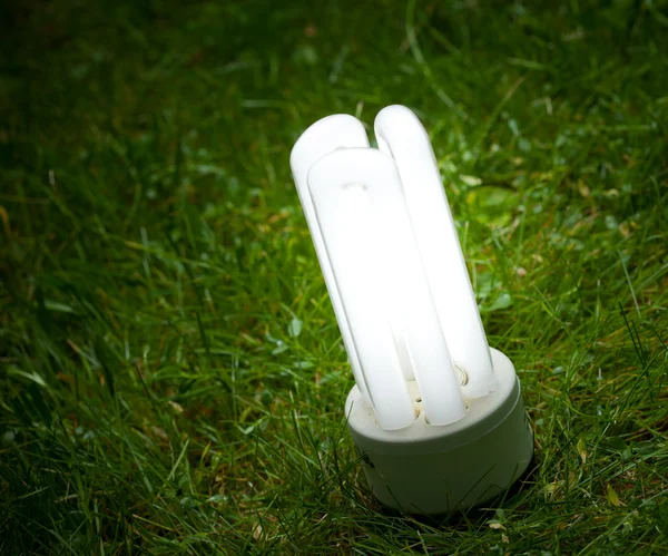 Çimlerin üzerinde enerji tasarrufu lambası — Stok fotoğraf