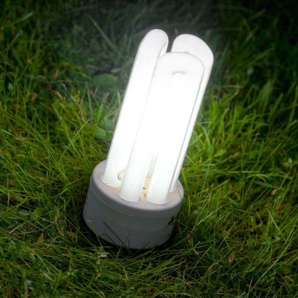 Lâmpada de poupança de energia na grama — Fotografia de Stock