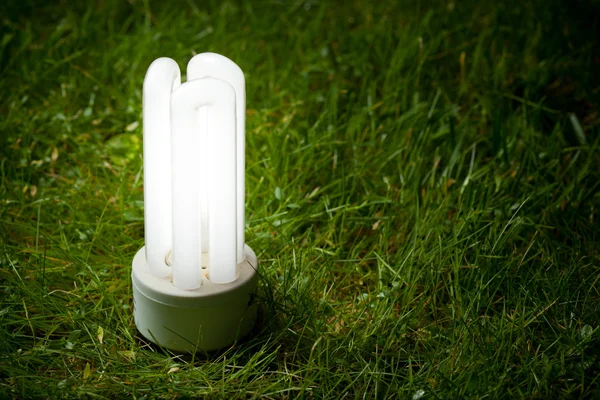 Lámpara de ahorro de energía en la hierba —  Fotos de Stock