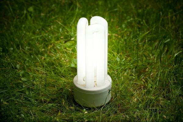 Lampada a risparmio energetico sull'erba — Foto Stock