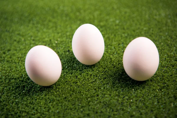 Groep van eieren op het groene gazon — Stockfoto