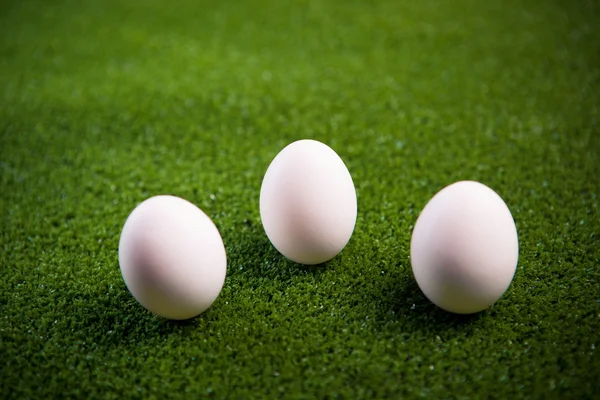 Group of eggs on the green grass — Stock Photo, Image