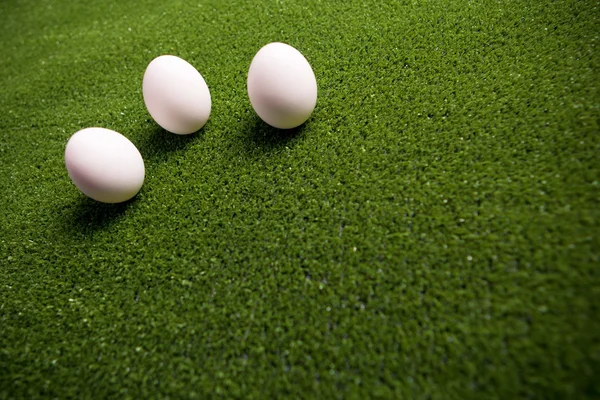Groep van eieren op het groene gazon — Stockfoto