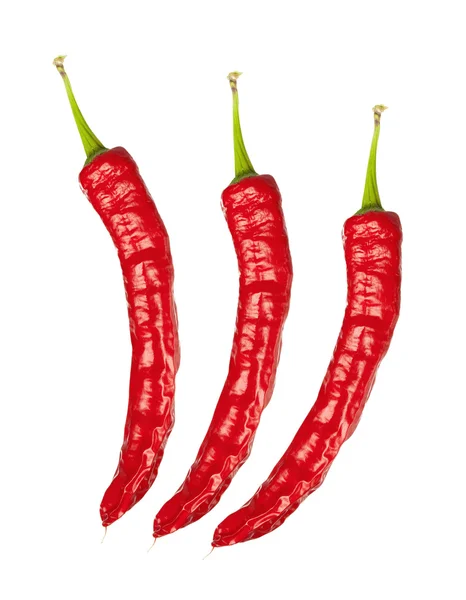 Red chili peppers, isolated on white — Stock Photo, Image