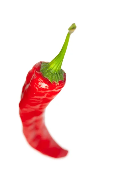 Chili pepper, isolated on white — Stock Photo, Image