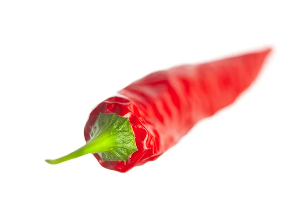 Chili pepper, isolated on white — Stock Photo, Image