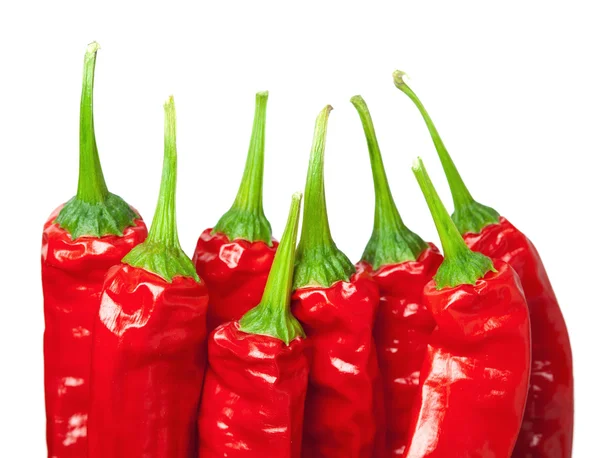 Macro of chili peppers — Stock Photo, Image