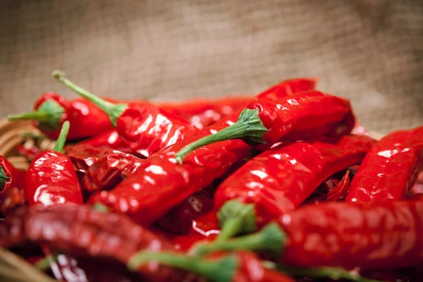 Multitude of red chili peppers — Stock Photo, Image