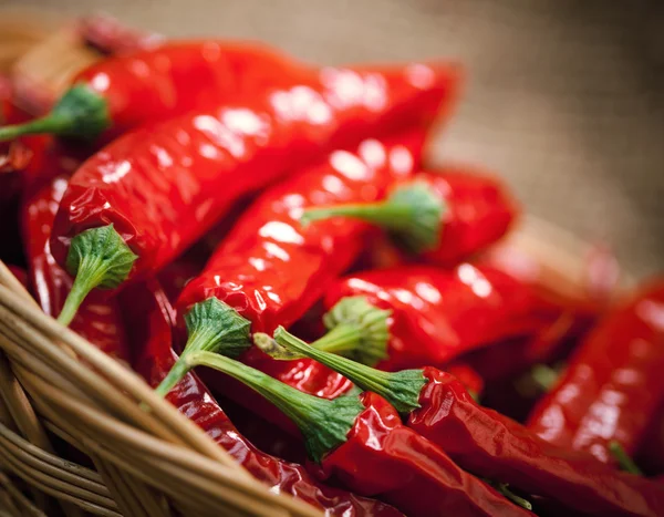 Multitude of red chili peppers — Stock Photo, Image