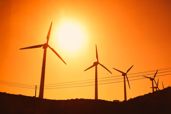 Wind turbines farm silhouettes on sun background — Stock Photo, Image