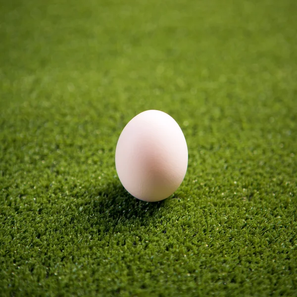 Huevo de Pascua en el césped —  Fotos de Stock