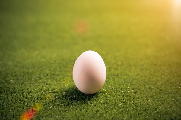 Uovo di Pasqua sul prato con bagliore soleggiato — Foto Stock