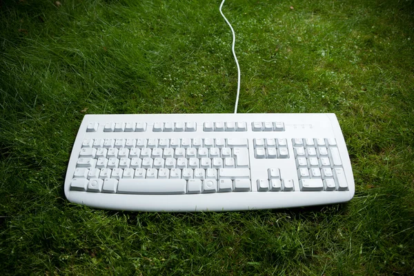 Keyboard meja di rumput — Stok Foto