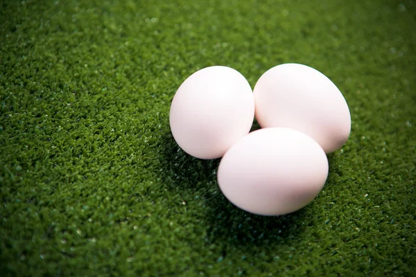 组的绿色草坪上的鸡蛋 — 图库照片