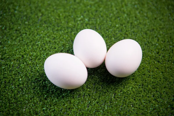 緑の芝生の上の卵のグループ — ストック写真