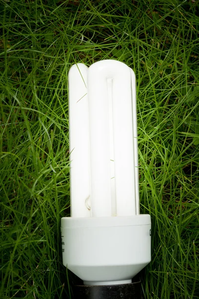 Lampa energooszczędna na trawie — Zdjęcie stockowe
