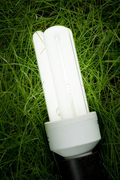 Energiebesparende lamp op het gras — Stockfoto