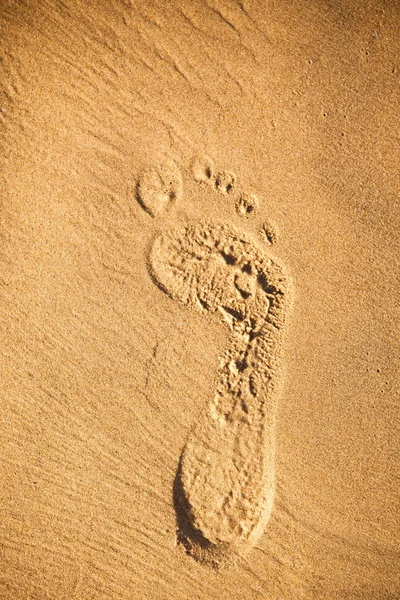 След на песке — стоковое фото