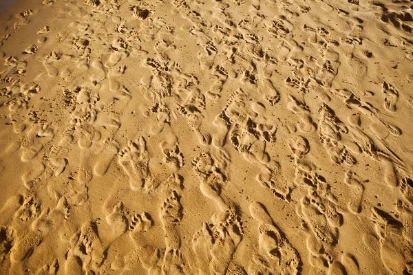 Sand trampled with barefoot crowd — Stock Photo, Image