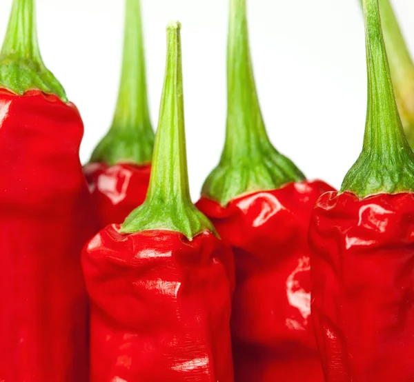 Macro of chili peppers — Stock Photo, Image