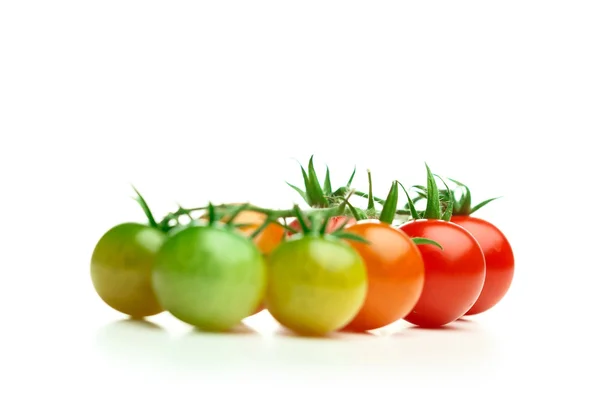 Tomates cerises mûres et non mûres sur blanc avec espace de copie — Photo