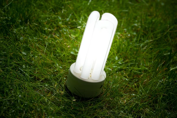 Energibesparande lampa på gräset — Stockfoto