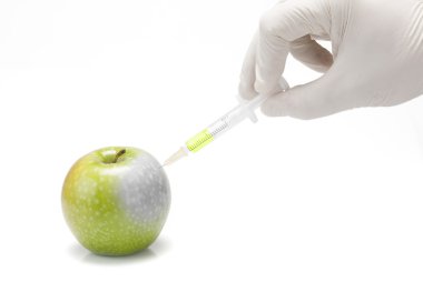 Experimenting with transgenic apples. clipart