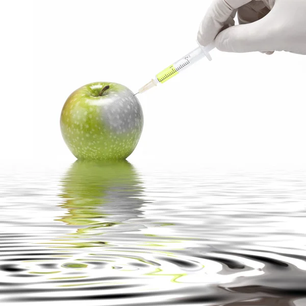 Jablka v laboratoři. — Stock fotografie