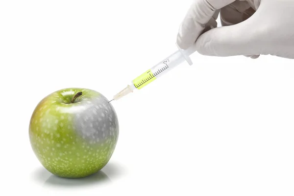 Experimentando com maçãs transgênicas . — Fotografia de Stock